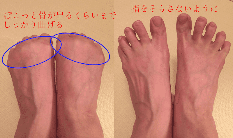 足指のグーパー運動