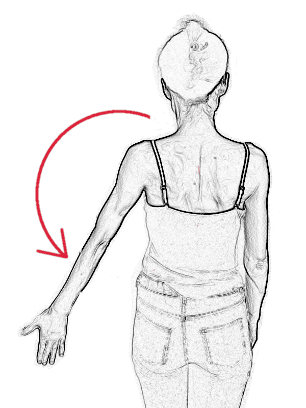 五十肩予防の肩甲骨ストレッチ肩伸ばし運動：ゆっくりと腰のあたりまで腕を下げる
