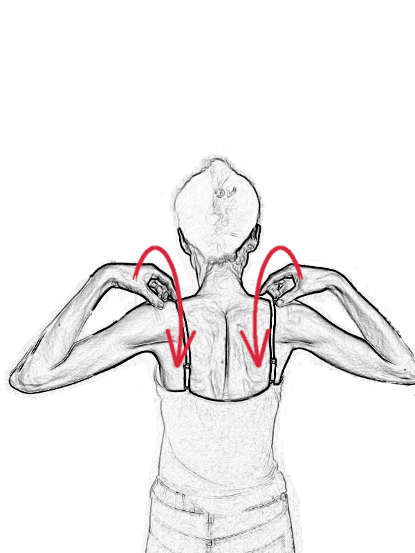  五十肩予防の肩甲骨ストレッチ肩腕回し運動：肘をゆっくりと後ろに回す